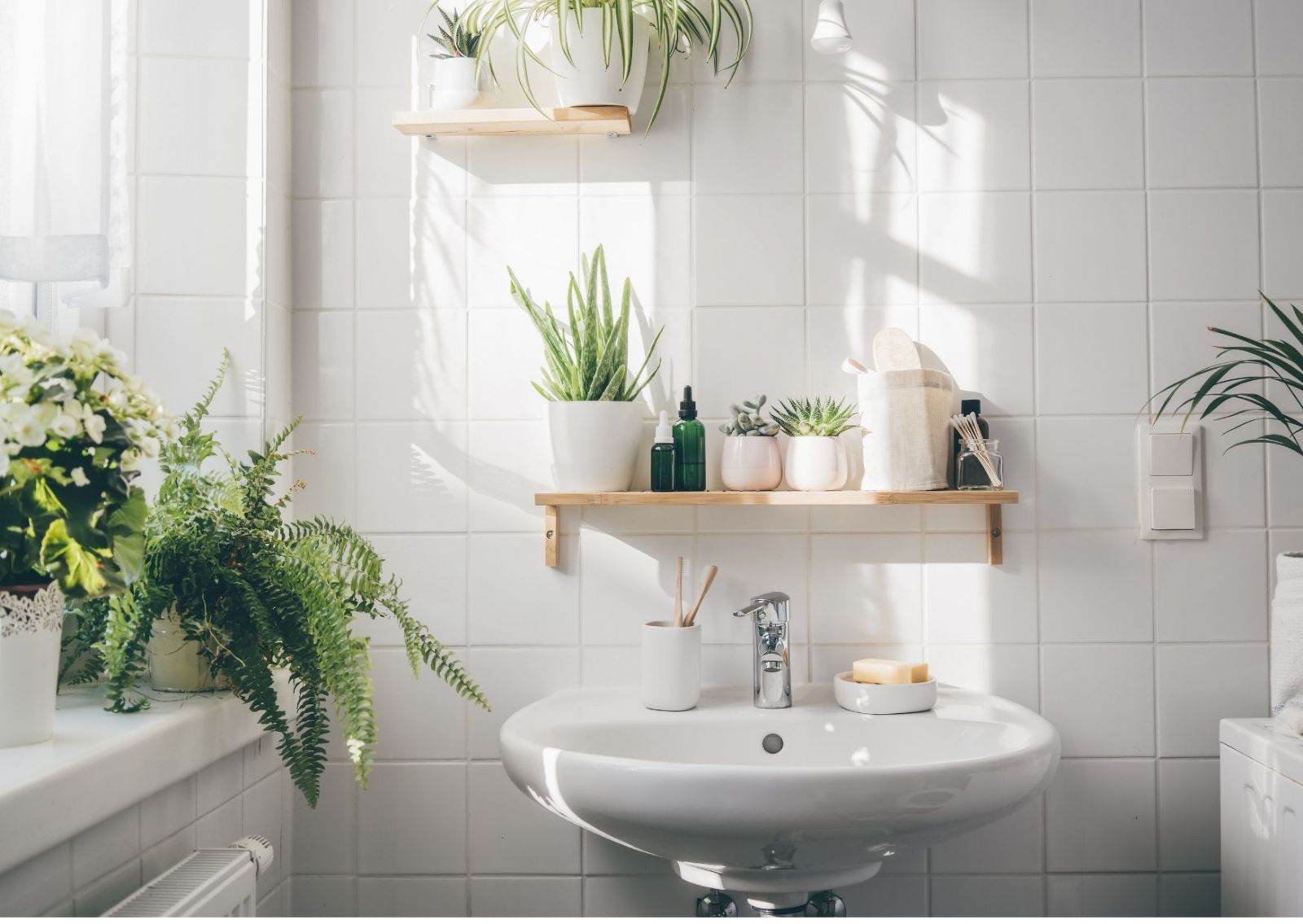Banyo Dekorasyonu